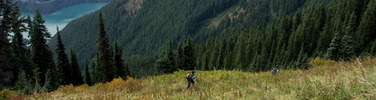 High meadows on Sourdough Mountain Trail